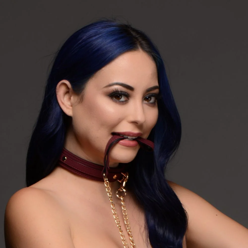 6 Piece Velvet Bondage Set - Image 2