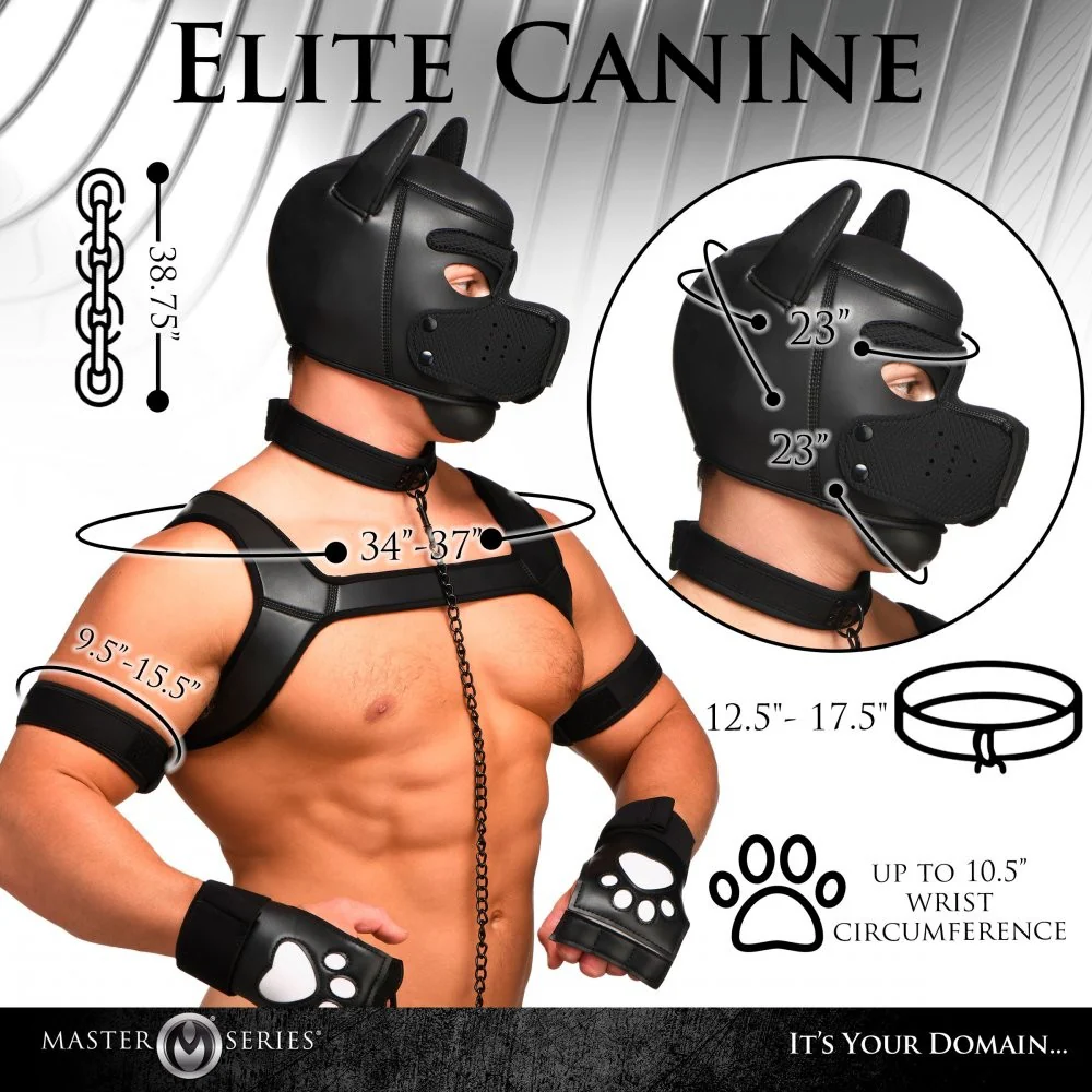 9 Piece Deluxe Pup Arsenal Set - Image 5