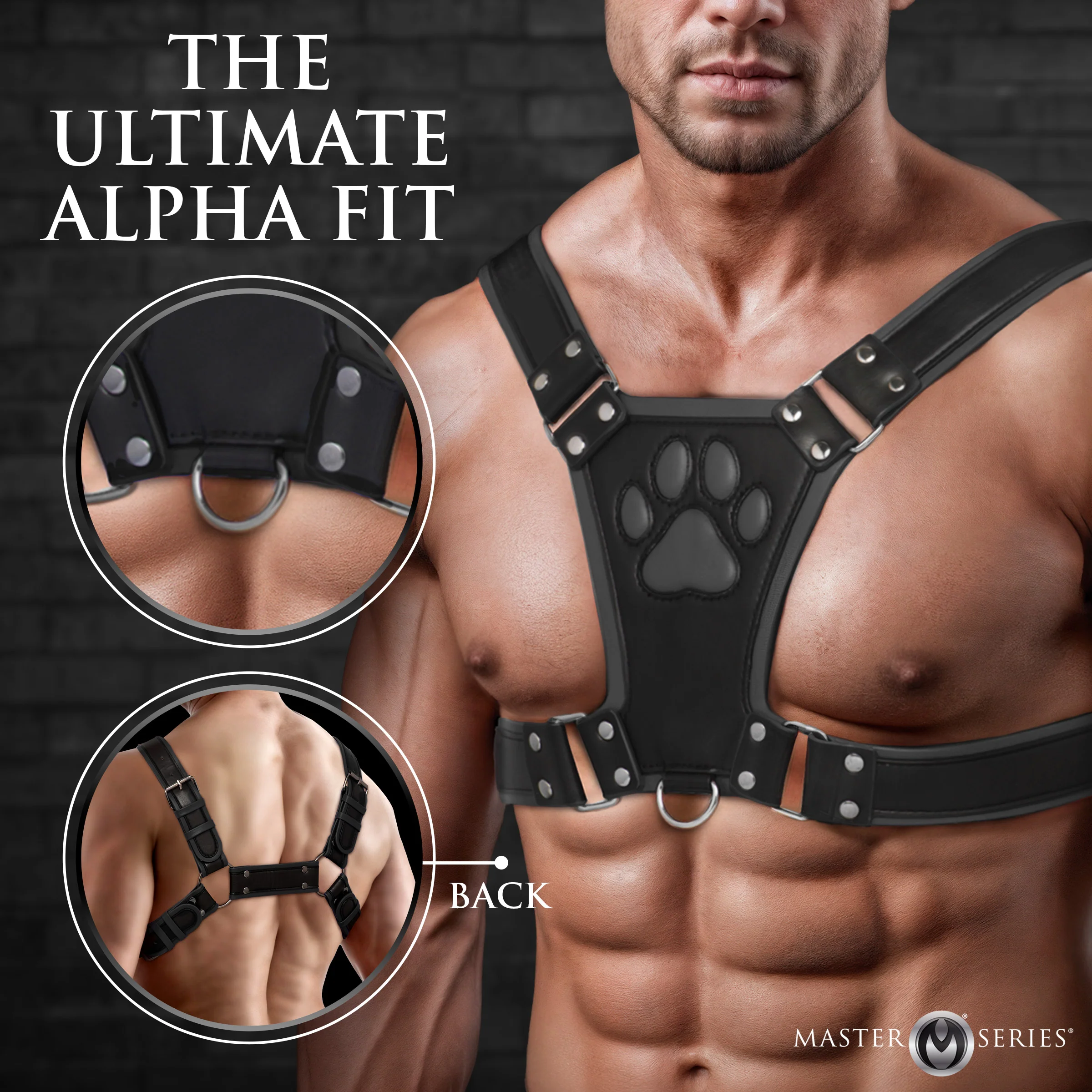 Alpha Pup Bulldog Harness - Image 3