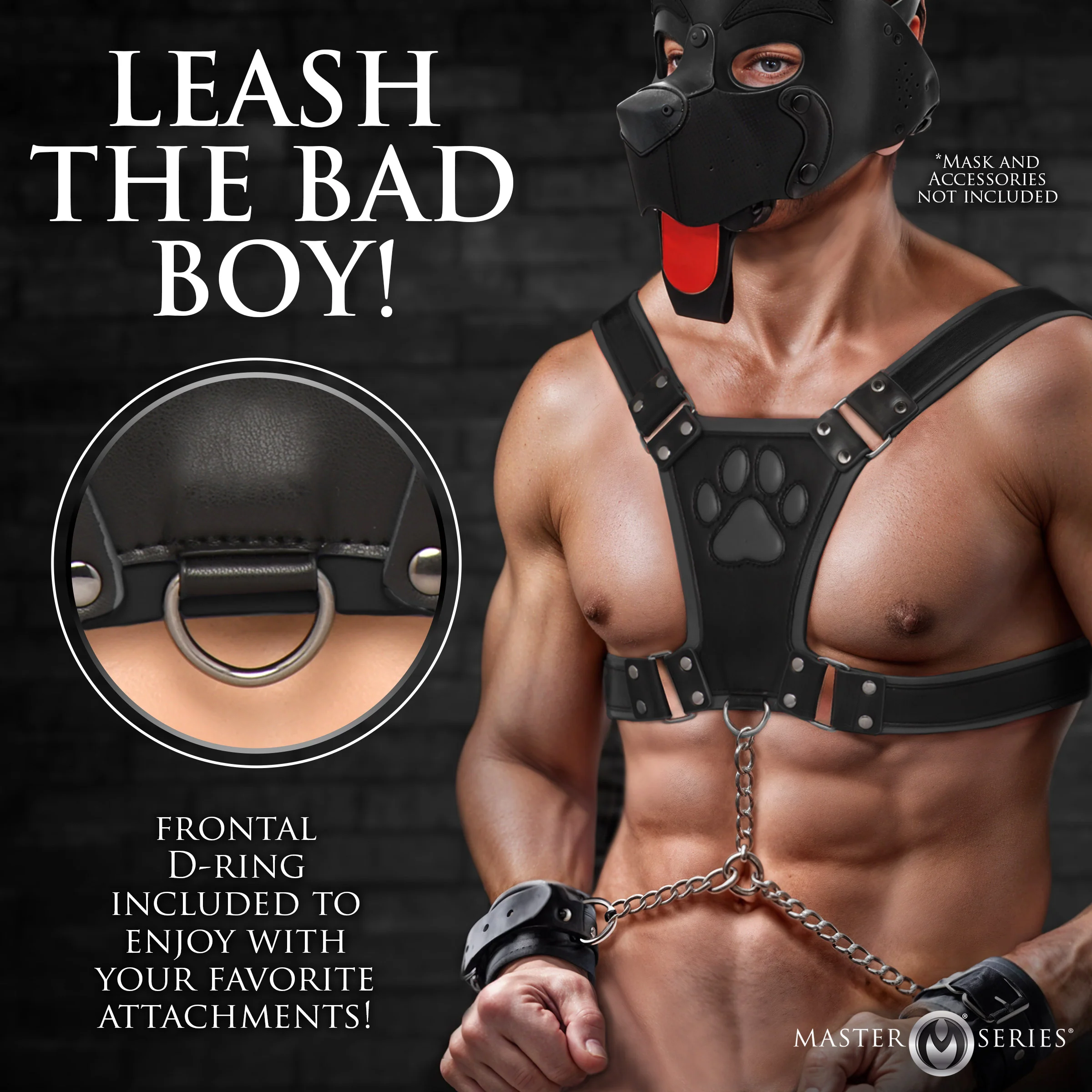 Alpha Pup Bulldog Harness - Image 4