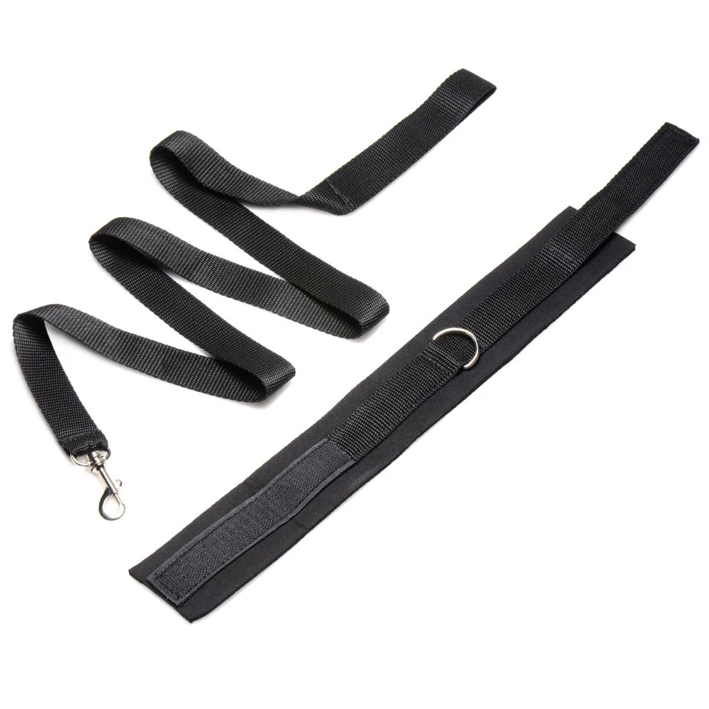 Beginner Leash and Collar Set - Image 5