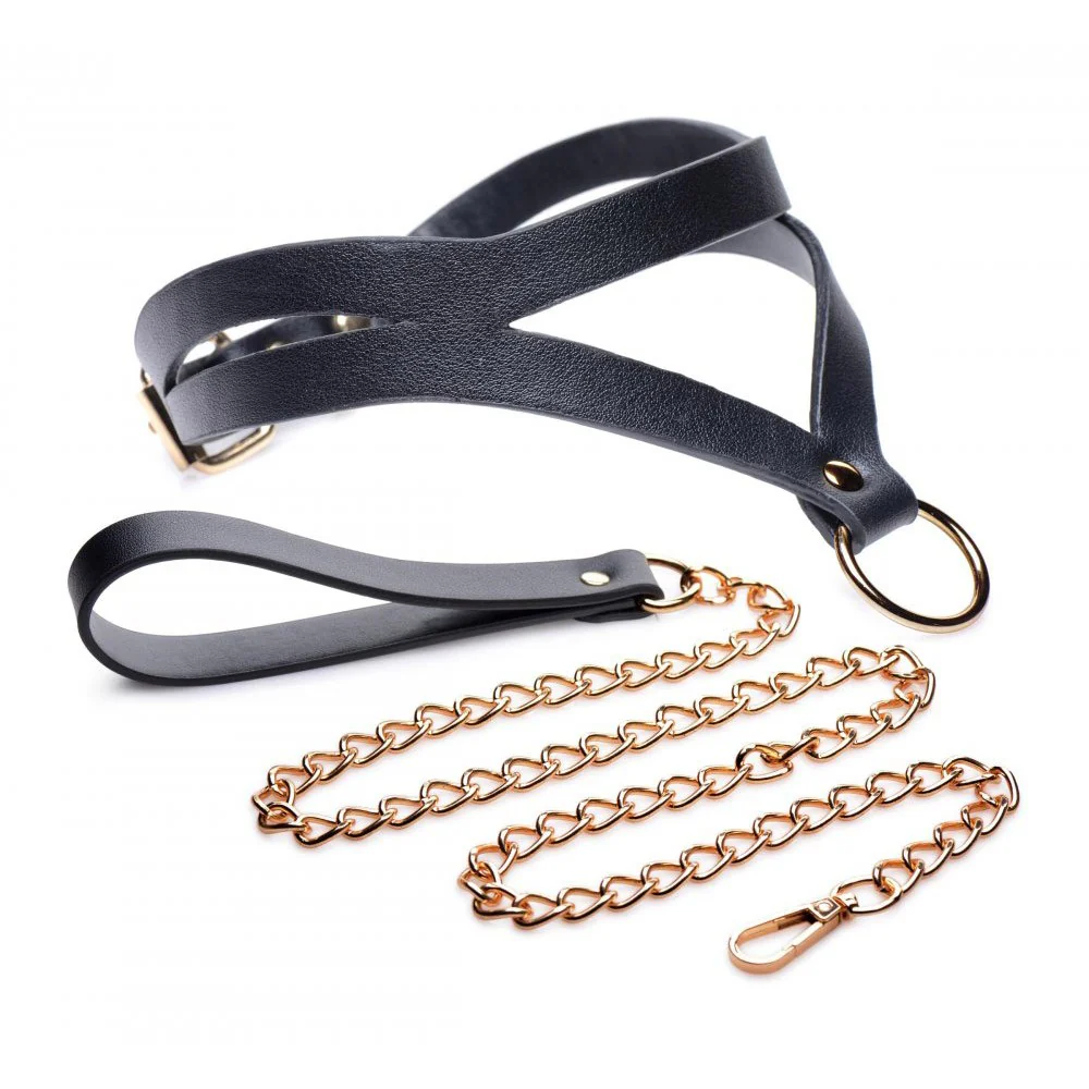 Black and Gold Collar with Leash Kit - Image 2