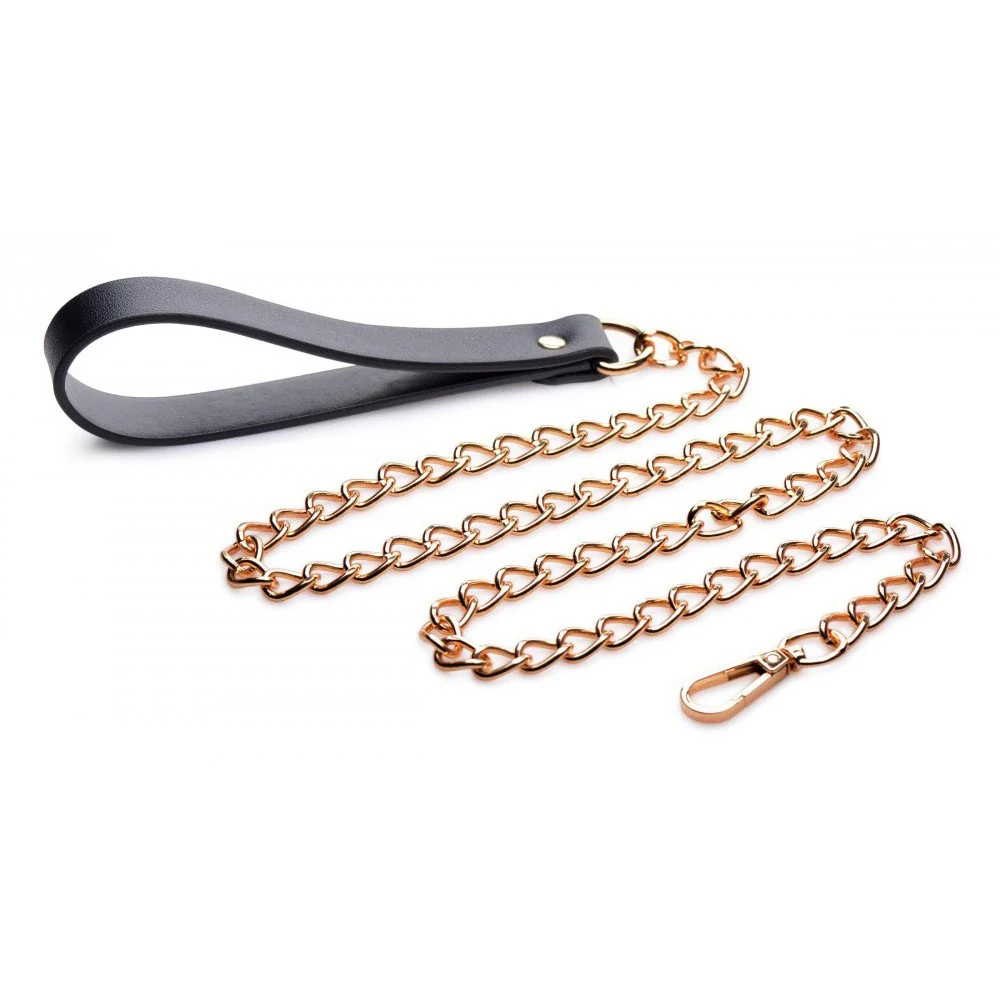 Black and Gold Collar with Leash Kit - Image 3