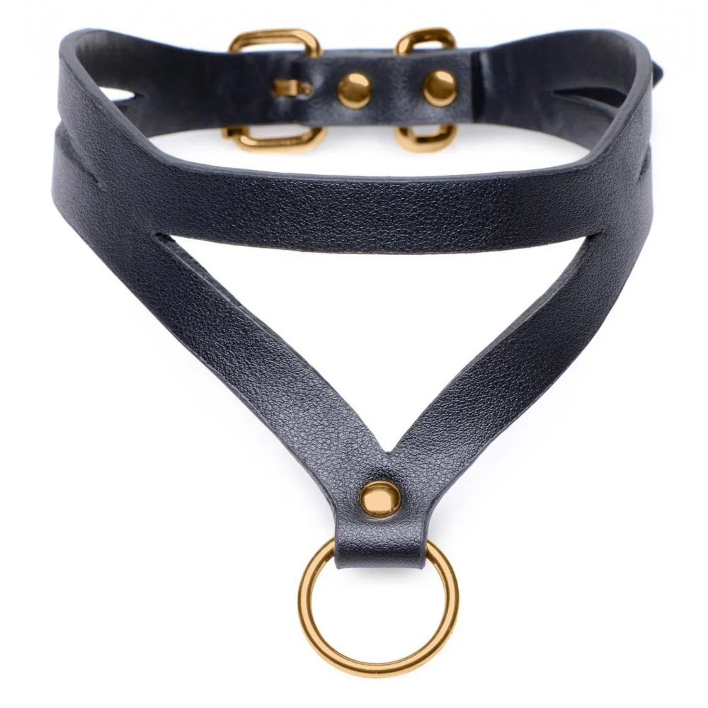Black and Gold Collar with Leash Kit - Image 4