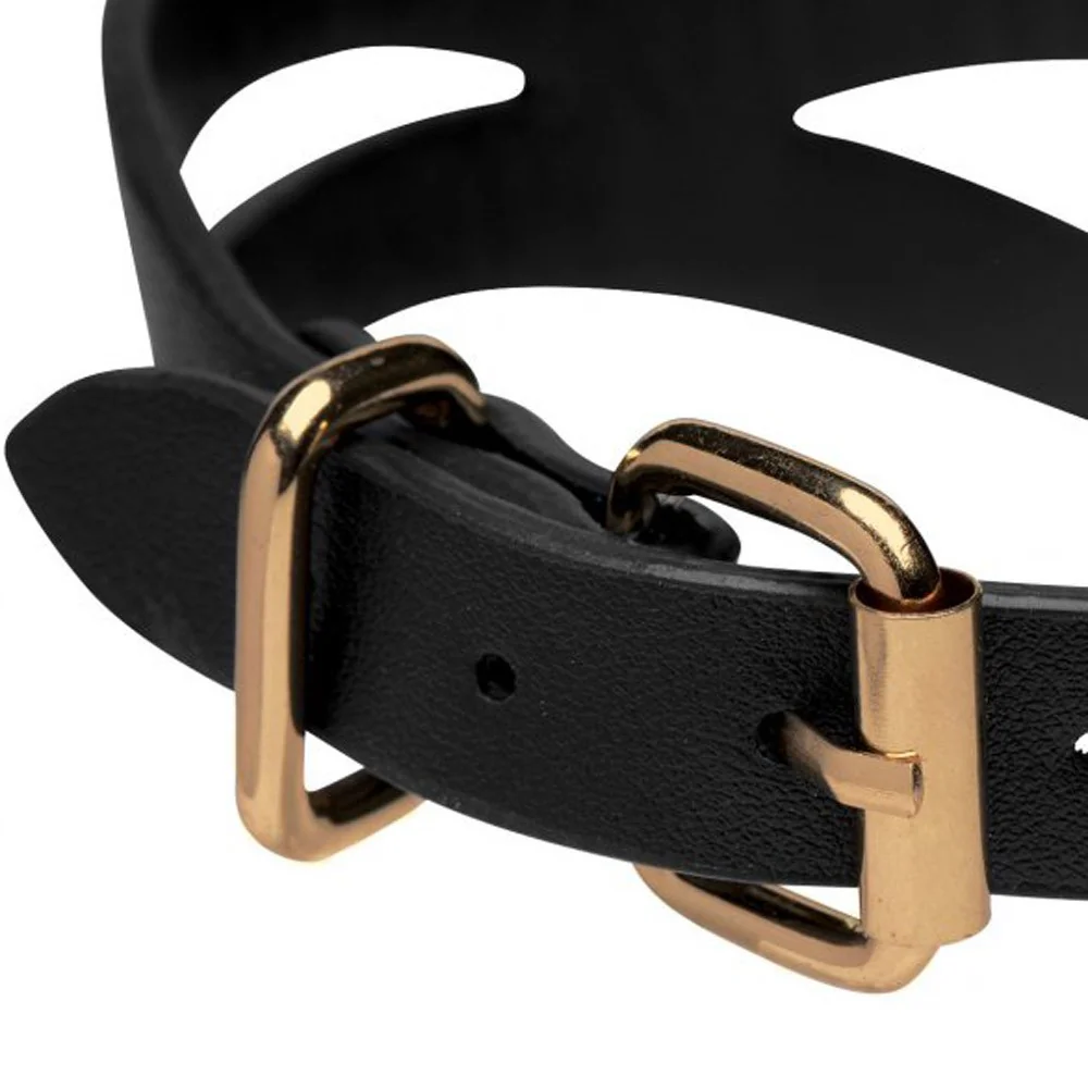 Black and Gold Collar with Leash Kit - Image 5