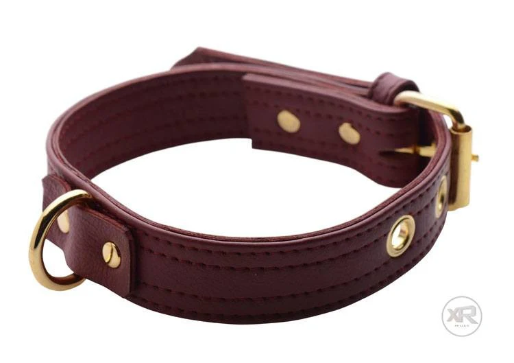 Burgundy Luxury Locking Collar - Image 5