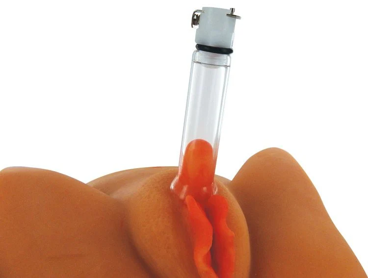 Clitoral Pumping System with Detachable Acrylic Cylinder - Image 5