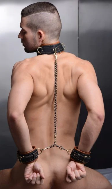 Coax Collar to Wrist Restraints - Image 3