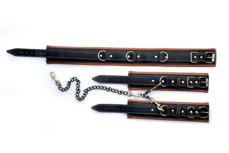 Coax Collar to Wrist Restraints - Image 6