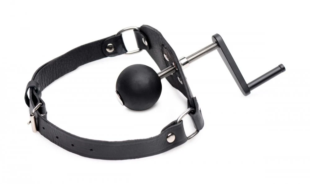 Crank Ball Gag - Image 4
