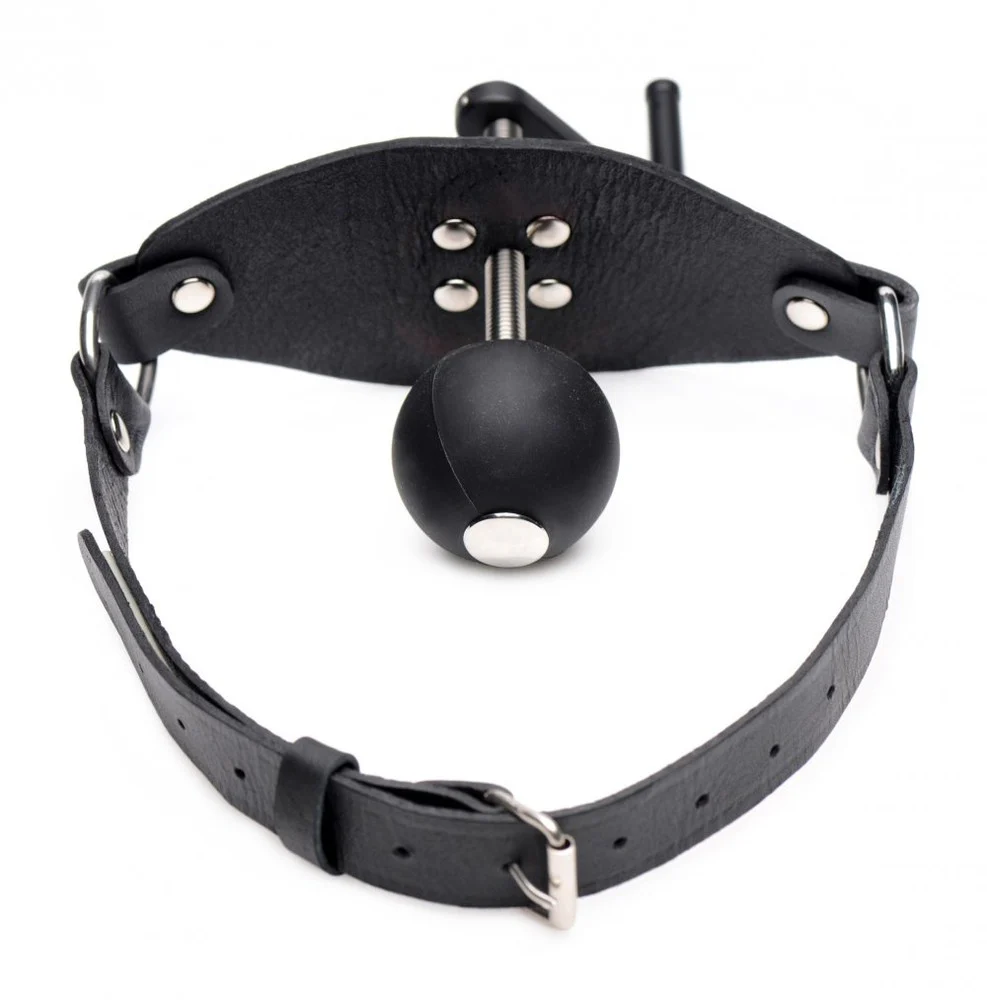 Crank Ball Gag - Image 5