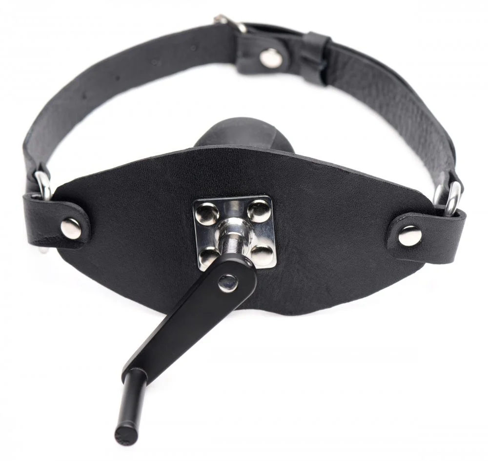 Crank Ball Gag - Image 6