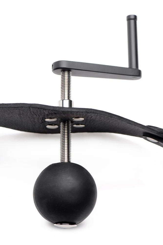 Crank Ball Gag - Image 7