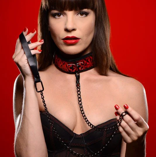 Crimson Tied Collar with Leash - Image 2