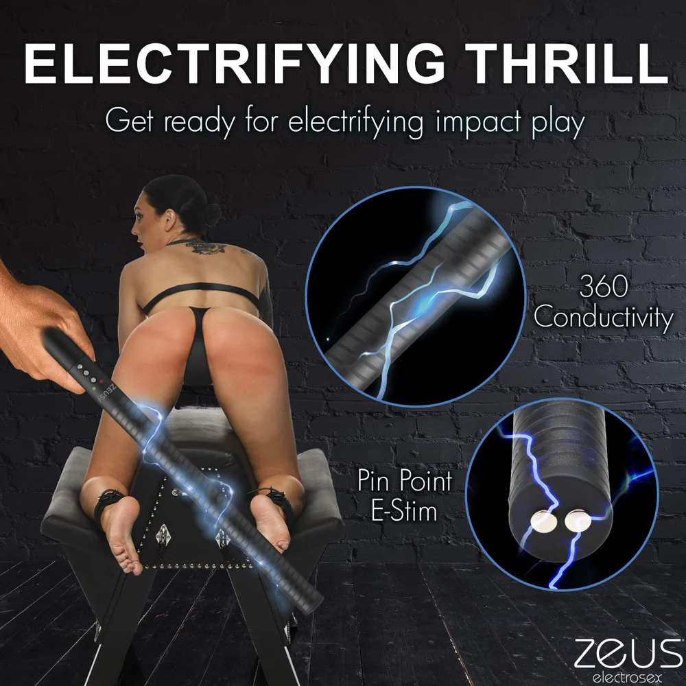 E-stim Baton - Image 4