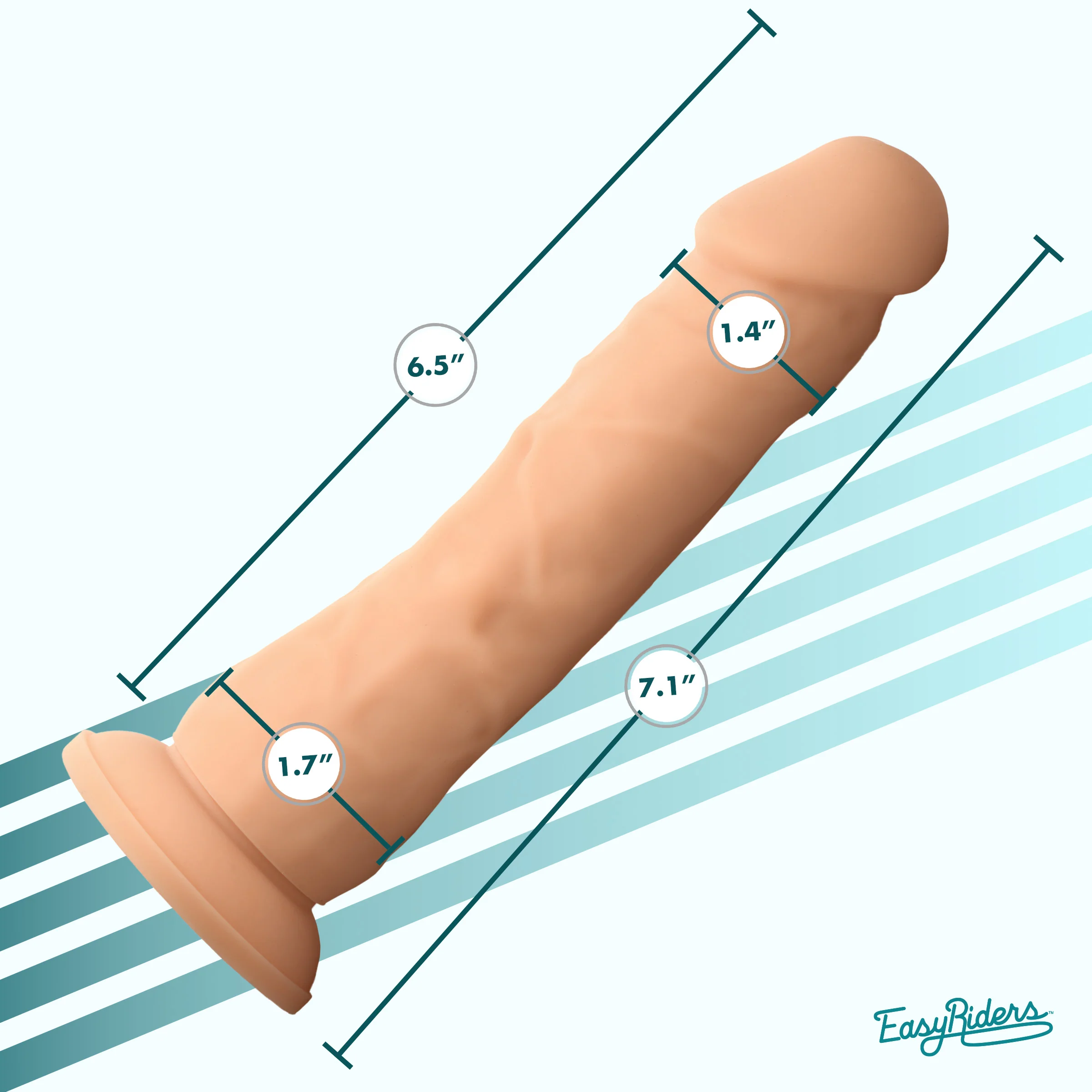 Easy Riders 7" Silicone Dildo - Image 6