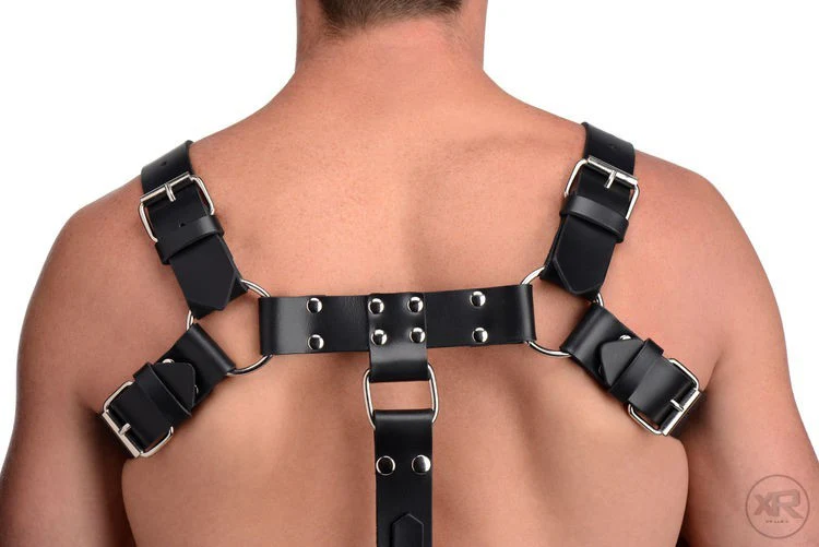 English Bull Dog Leather Chest Harness with Cock Strap - Image 10
