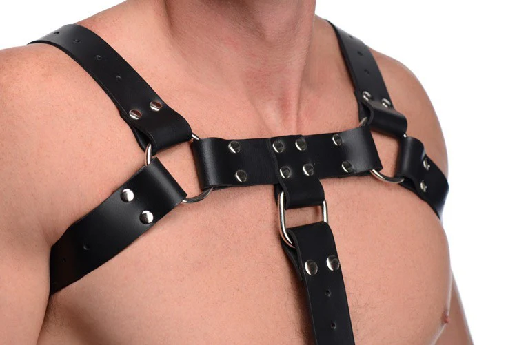 English Bull Dog Leather Chest Harness with Cock Strap - Image 2