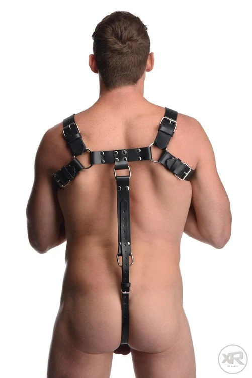 English Bull Dog Leather Chest Harness with Cock Strap - Image 4