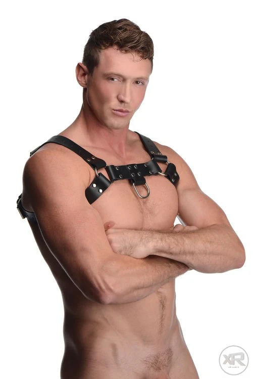 English Bull Dog Leather Chest Harness with Cock Strap - Image 7
