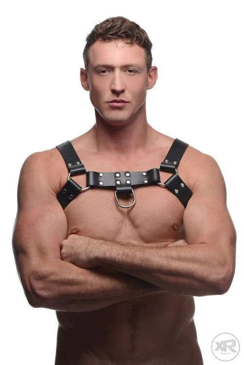English Bull Dog Leather Chest Harness with Cock Strap - Image 9