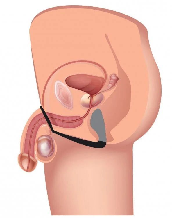 Explorer II Prostate Stimulator and Cock Ring - Image 8