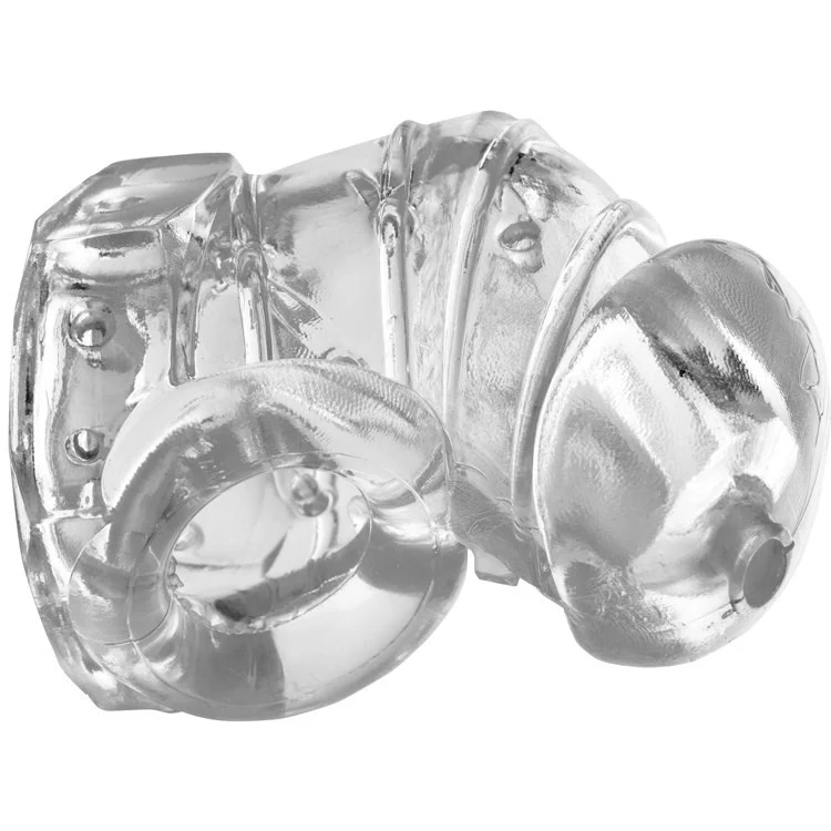 Extreme Detained Soft Body Chastity Cage - Image 2