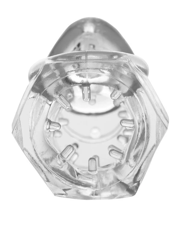 Extreme Detained Soft Body Chastity Cage - Image 3