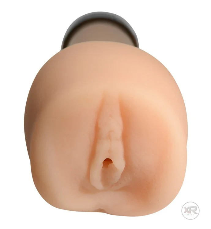 Pandoras Pussy Attachment - Image 3