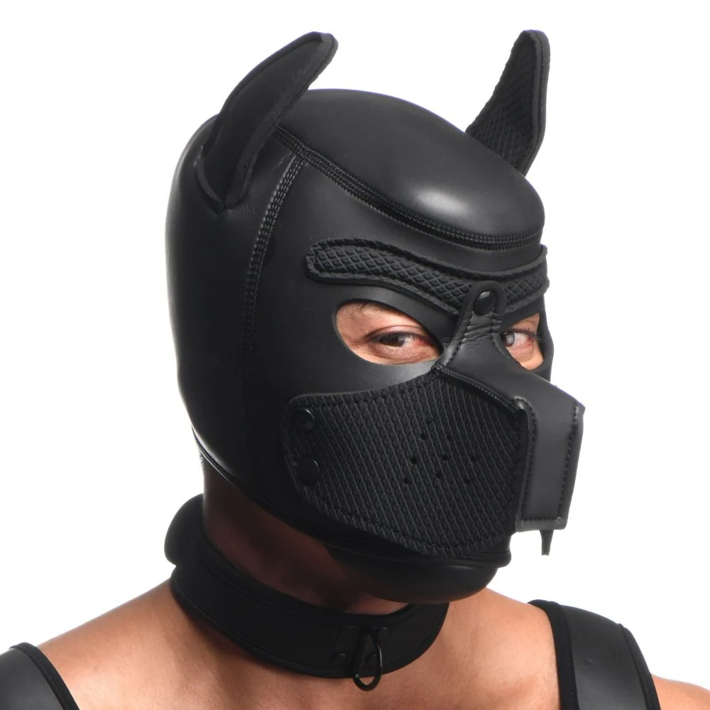 Full Pup Arsenal Set - Image 8