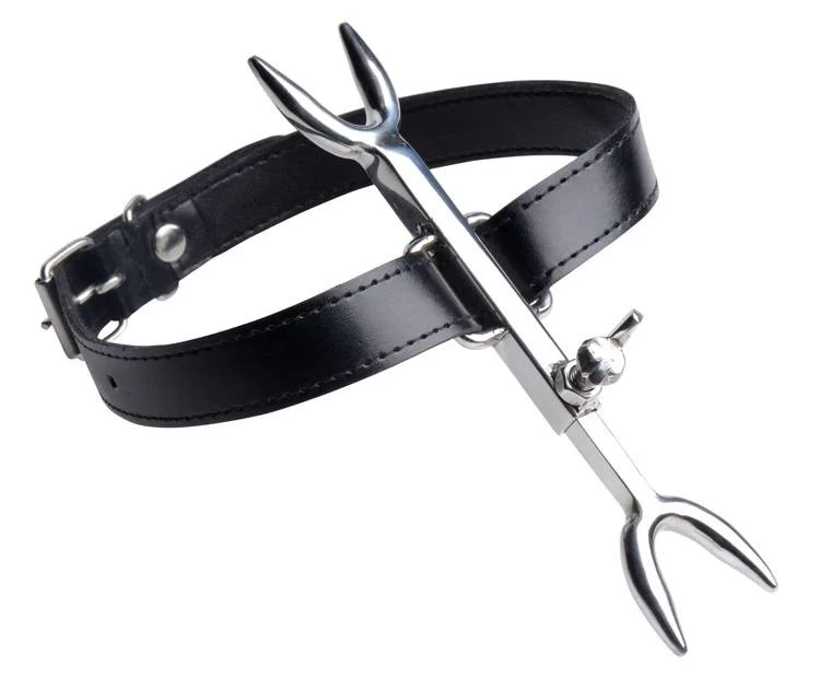 Heretics Fork - Image 6