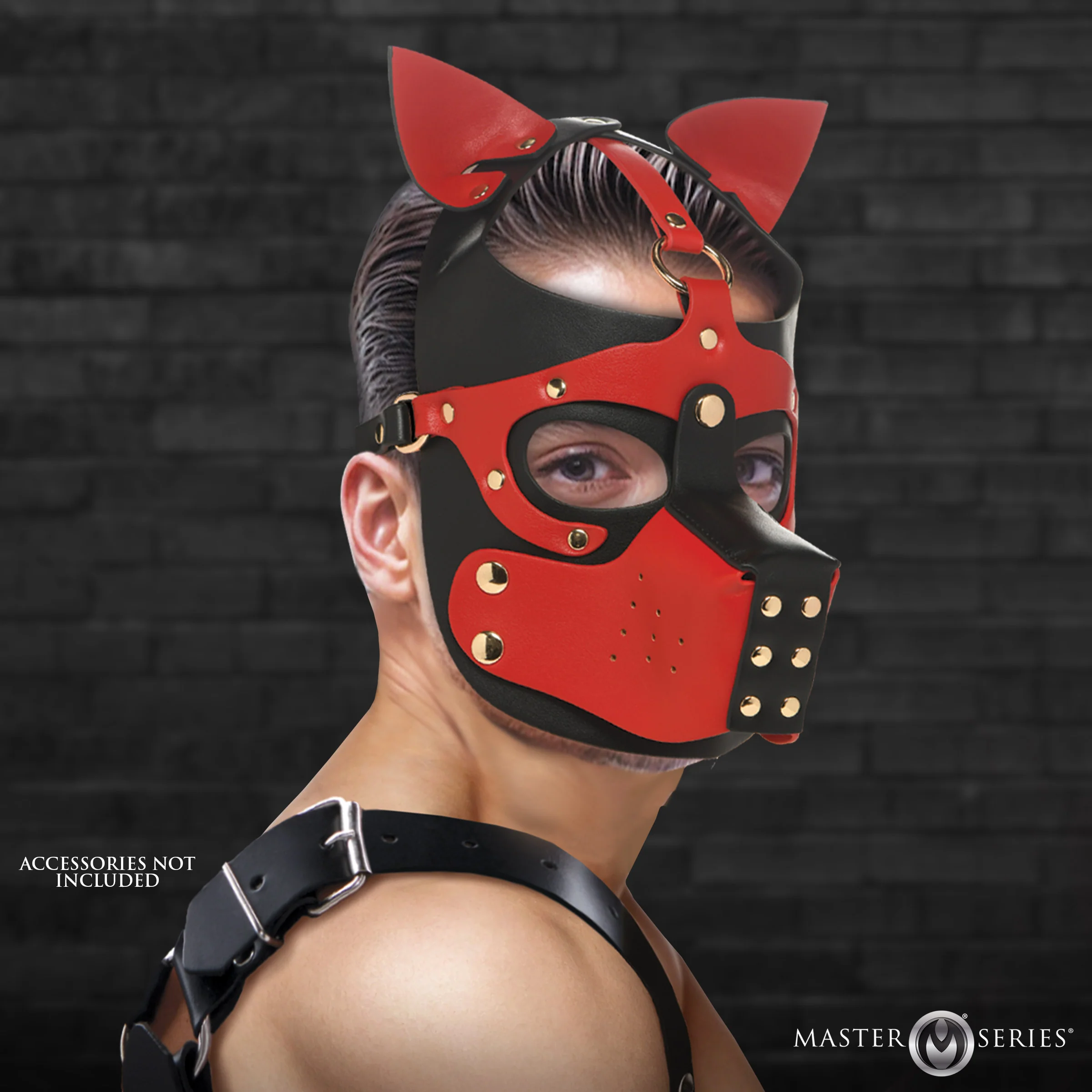 Hound Hood with Muzzle - Image 2
