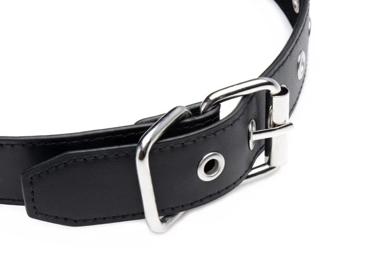 Interchangeable Silicone Ball Gag Set - Image 4