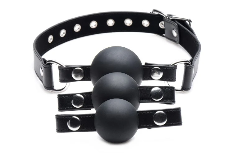 Interchangeable Silicone Ball Gag Set - Image 6