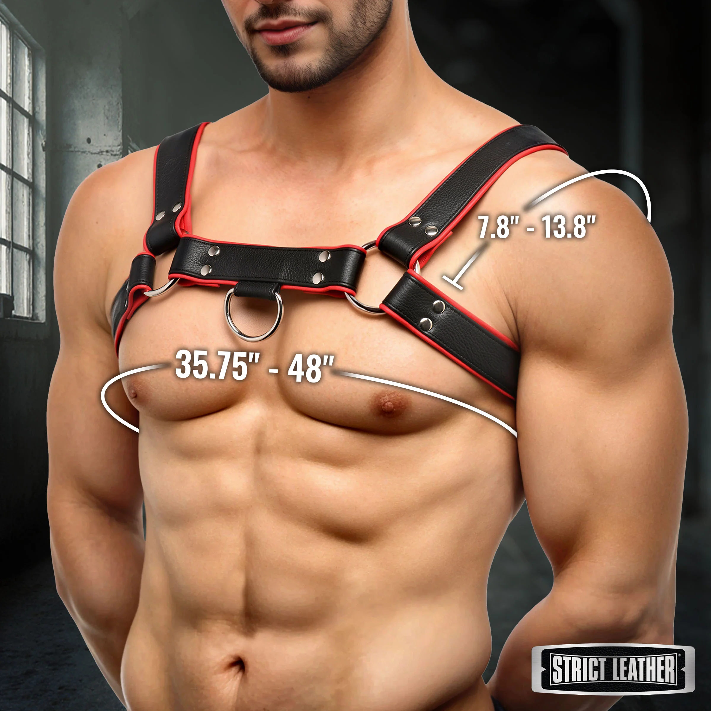 Leather English Bull Dog Harness - Image 5