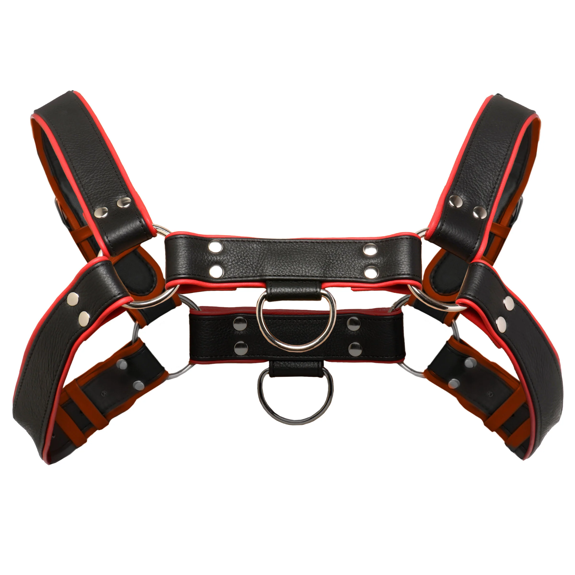 Leather English Bull Dog Harness - Image 6