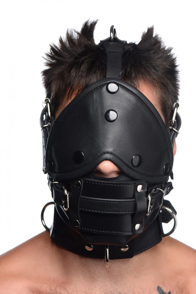 Leather Head Harness with Removeable Gag - Image 2