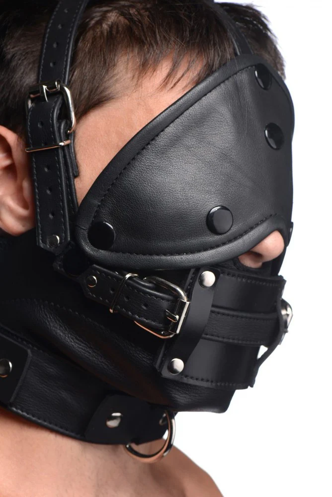 Leather Head Harness with Removeable Gag - Image 4