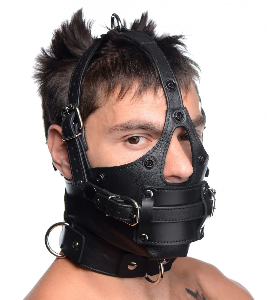 Leather Head Harness with Removeable Gag - Image 5