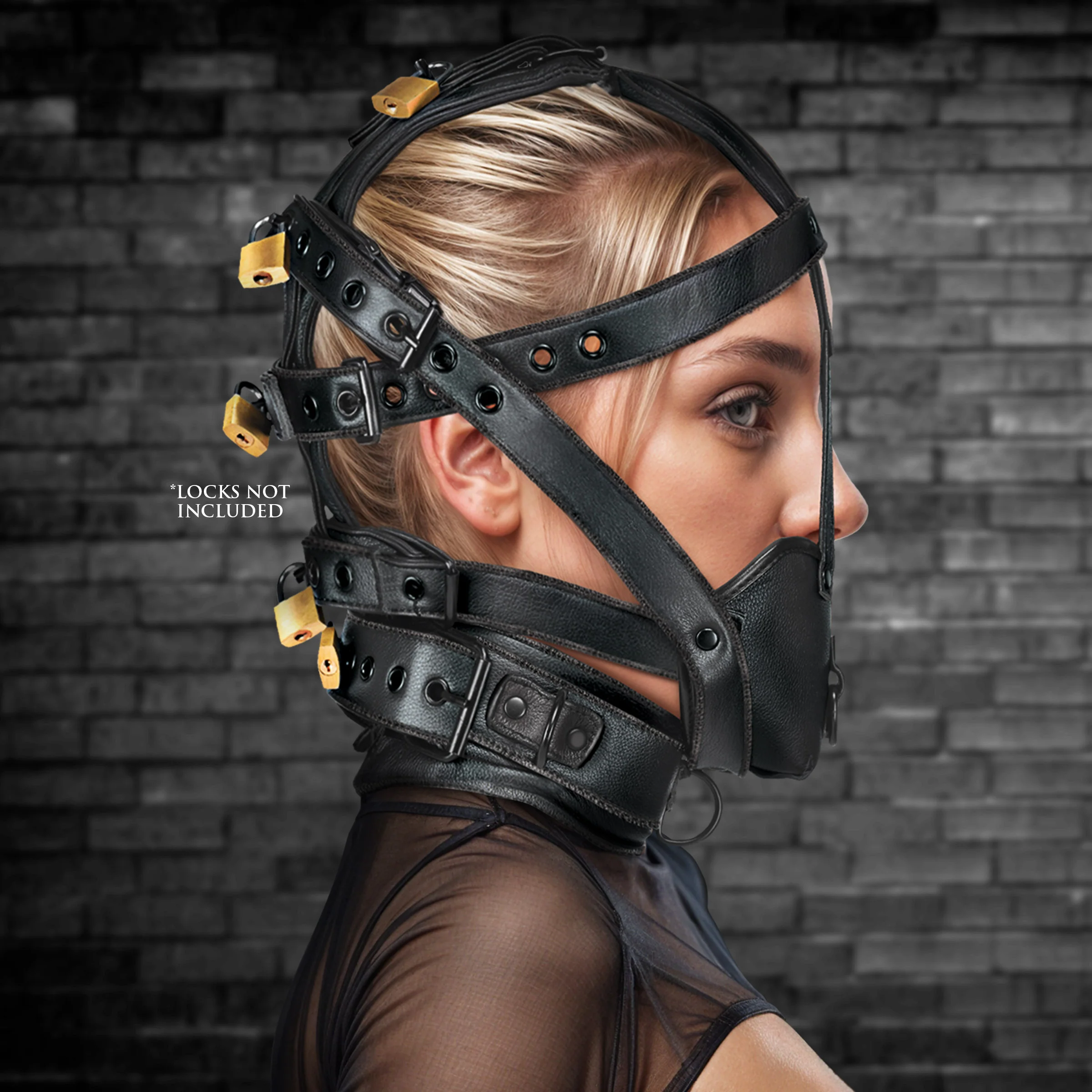 Lockable Head Harness with Muzzle - Image 2