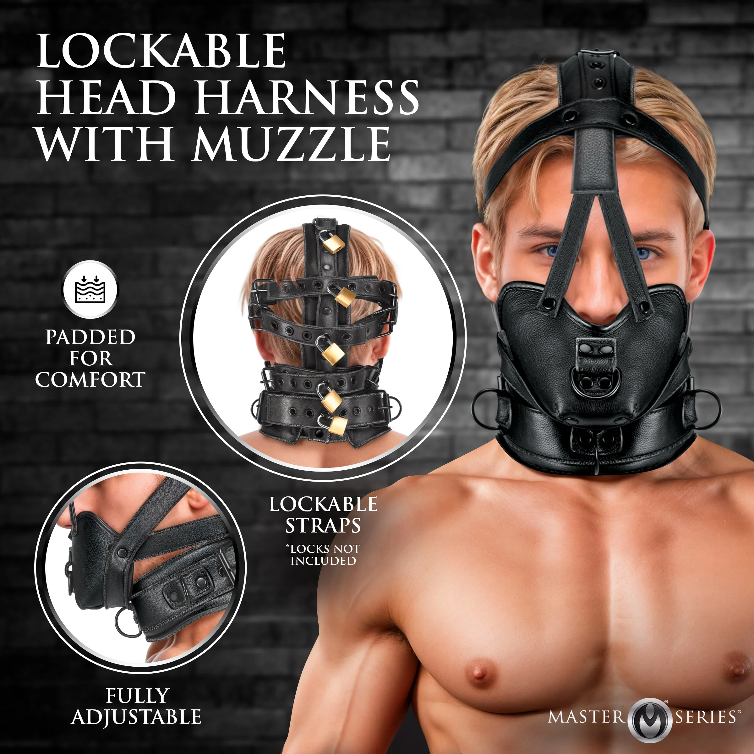 Lockable Head Harness with Muzzle - Image 3