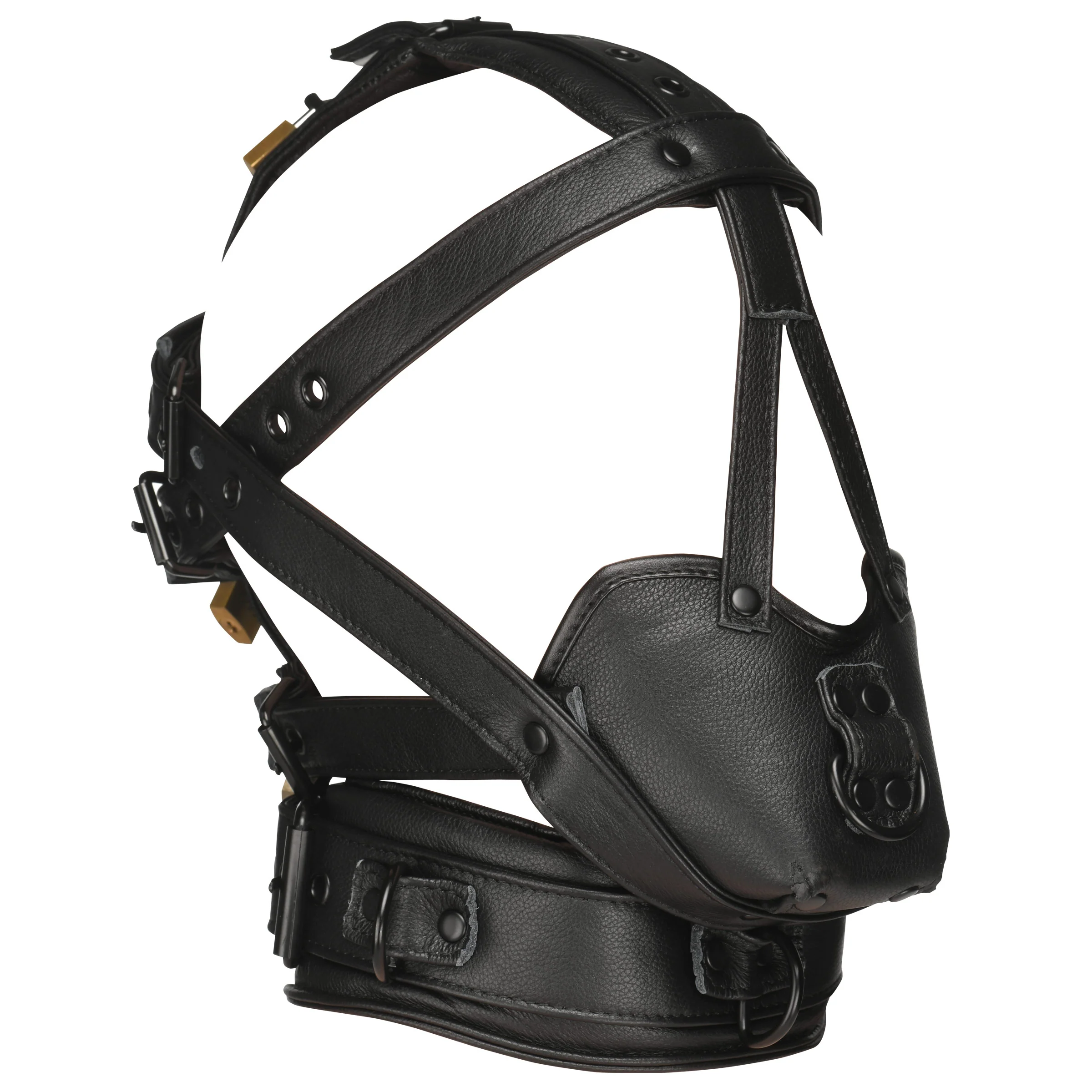 Lockable Head Harness with Muzzle - Image 5