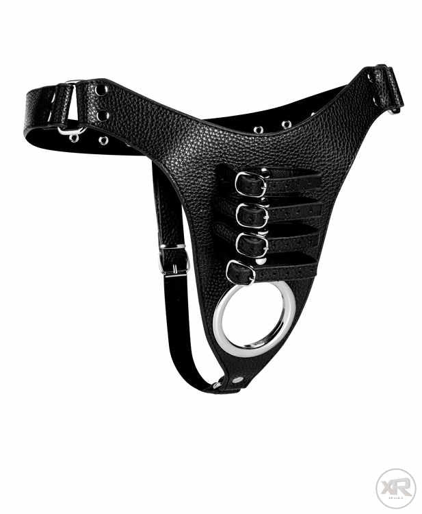 Male Chastity Harness - Image 5