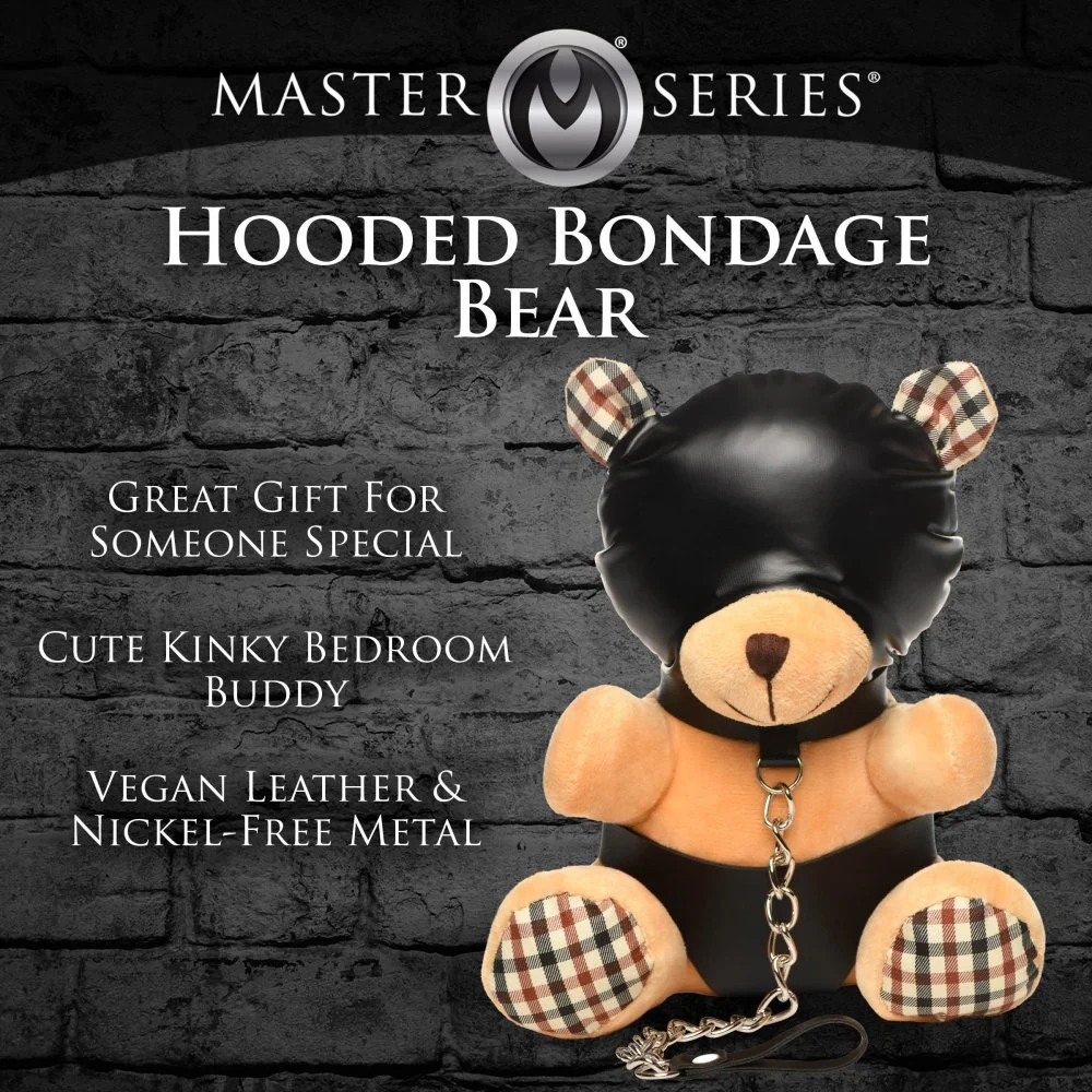 Master's Teddy Bears - Image 6