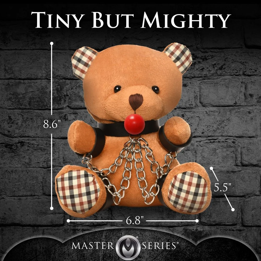 Master's Teddy Bears - Image 8