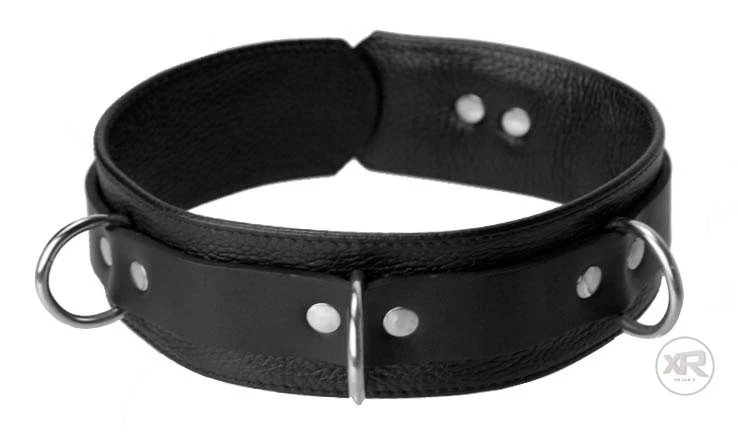 Sick Puppy Leash and Collar Set - Image 2