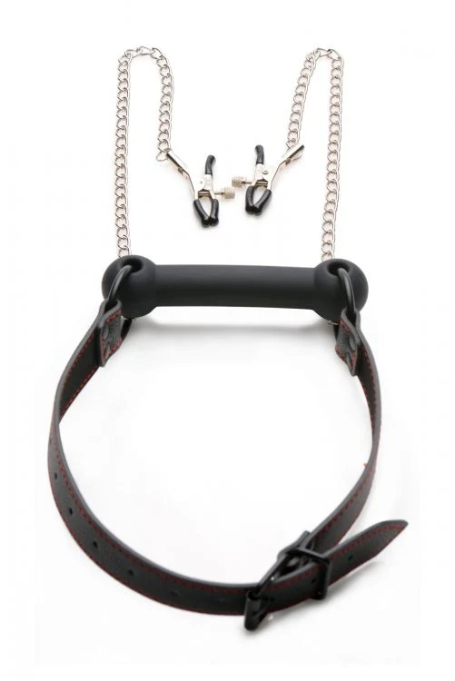 Silicone Bit Gag with Nipple Clamps - Image 5