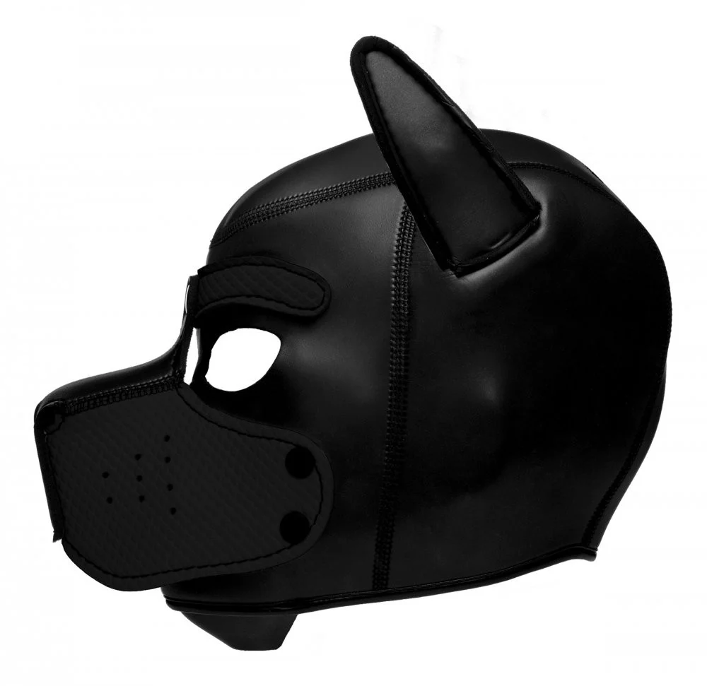 Spike Neoprene Puppy Hood - Image 5