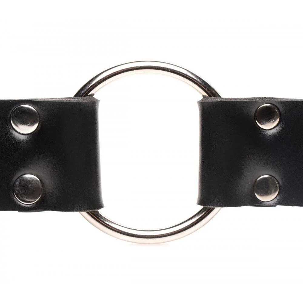 Strap and Ride Dildo Strap Harness - Image 8