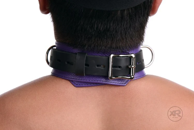 Strict Leather Deluxe Black and Purple Locking Collar - Image 2